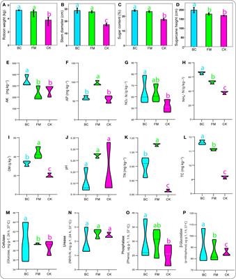 Sustained organic amendments utilization enhances ratoon crop growth and soil quality by enriching beneficial metabolites and suppressing pathogenic bacteria